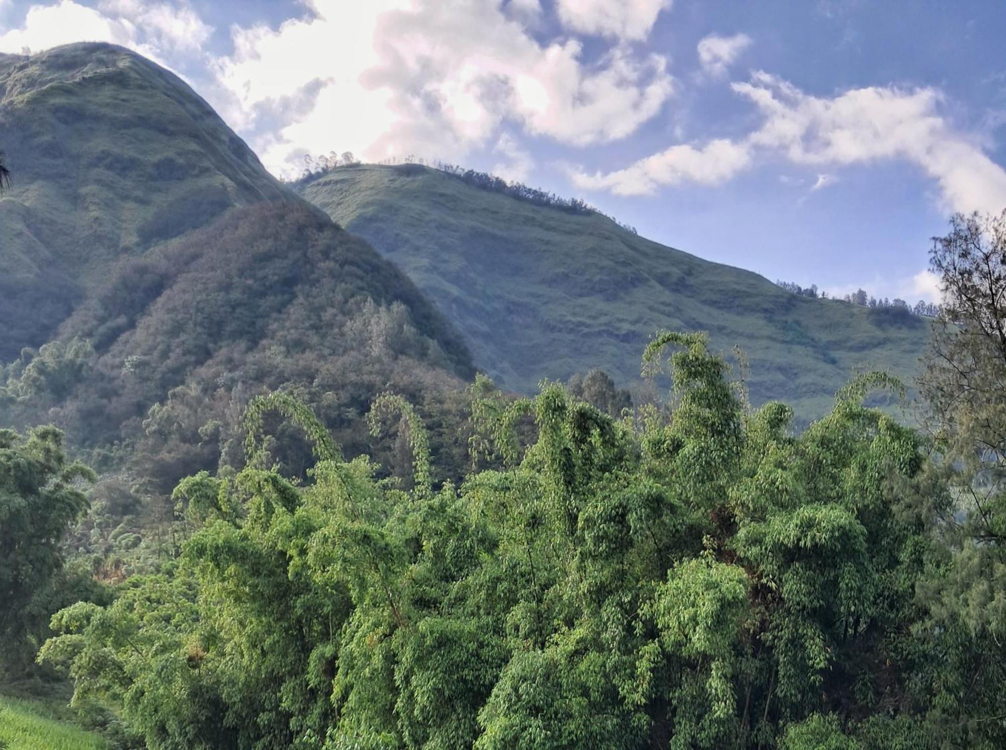 Bromo Dormitory & Cabin Exterior foto